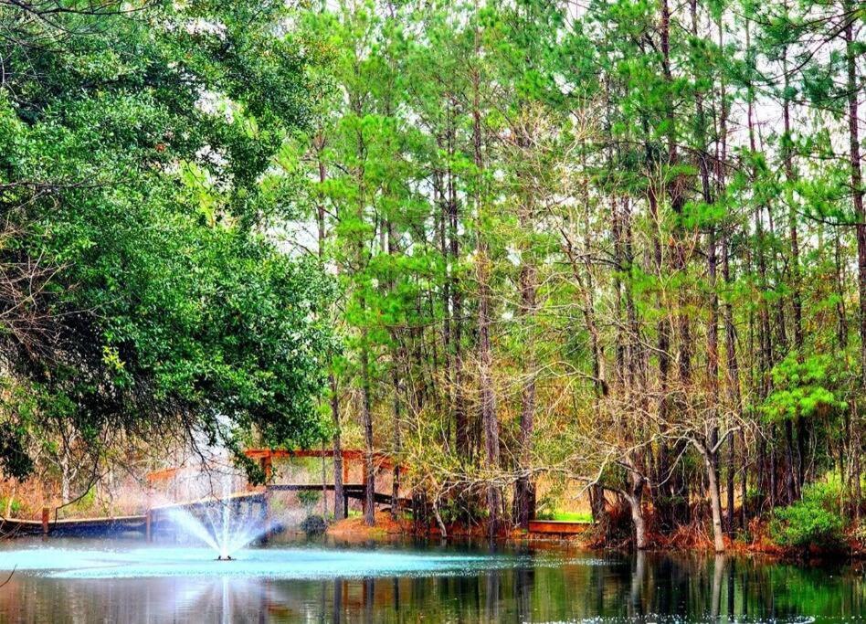 Waterfront Houston Hide Out In A Magical Forest Waller 外观 照片
